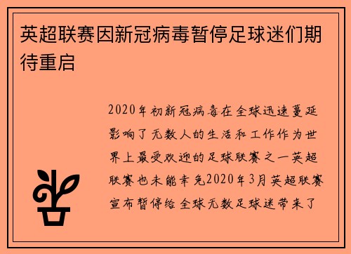 英超联赛因新冠病毒暂停足球迷们期待重启