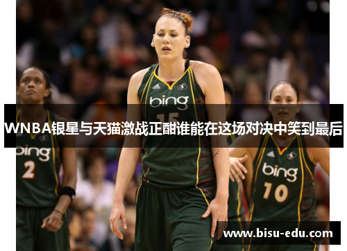 WNBA银星与天猫激战正酣谁能在这场对决中笑到最后